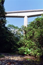 比地川から見上げる比地大橋