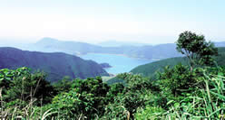 加計呂麻島の遠景