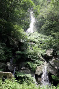 川内川上流の滝