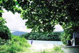 川平湾の風景