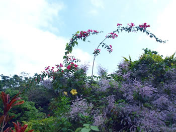 花