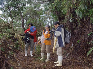 未舗装の林道を進む宇根先生達