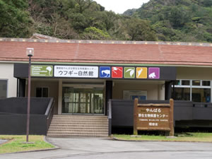 やんばる野生生物保護センターの外観と展示室2