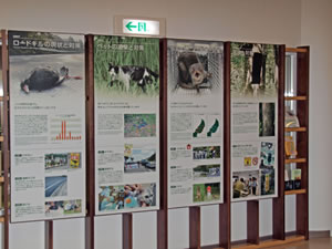 やんばる野生生物保護センターの外観と展示室3