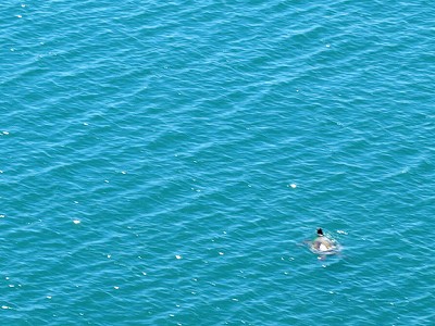 青い海