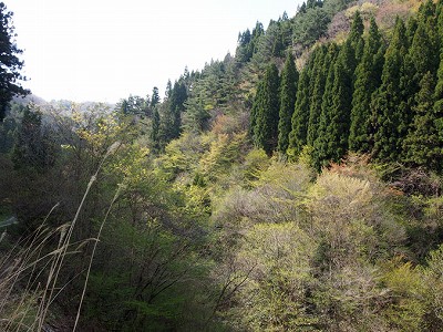 御惣菜を購入する妻