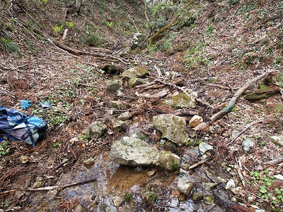 ブチサンショウウオがたくさん生息していた支沢