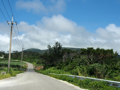 白瀬ダム周辺に至る道路